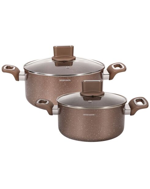 2 inductiekookpotten van 20/24 cm + 2 deksels