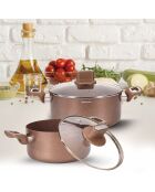 2 pentole a induzione da 20/24 cm + 2 coperchi