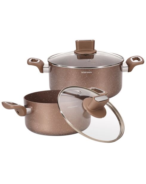 2 inductiekookpotten van 20/24 cm + 2 deksels