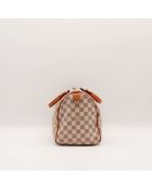 The Speedy 30 Louis Vuitton beige grigio - 30x21x17 cm - Ottime condizioni