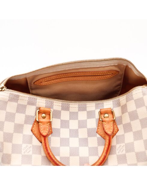 The Speedy 30 Louis Vuitton beige grigio - 30x21x17 cm - Ottime condizioni