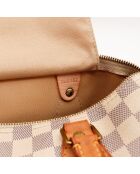 The Speedy 30 Louis Vuitton beige grigio - 30x21x17 cm - Ottime condizioni