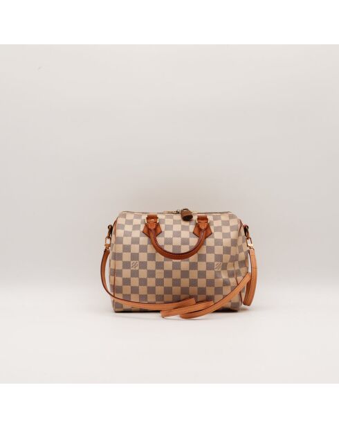 Tracolla The Speedy 25 Louis Vuitton beige grigio - 25x19x15 cm - Buone condizioni
