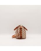 Tracolla The Speedy 25 Louis Vuitton beige grigio - 25x19x15 cm - Buone condizioni
