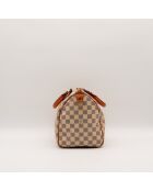 The Speedy 30 Louis Vuitton beige gris - 30x21x17 cm