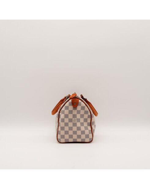 The Speedy 25 Louis Vuitton Beige/Grey- 25x19x15 cm -Ottime condizioni