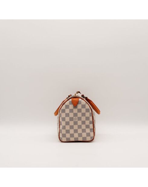 The Speedy 25 Louis Vuitton Beige/Grey- 25x19x15 cm -Ottime condizioni