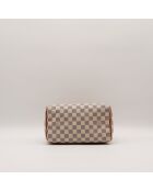 The Speedy 25 Louis Vuitton Beige/Grey- 25x19x15 cm -Ottime condizioni