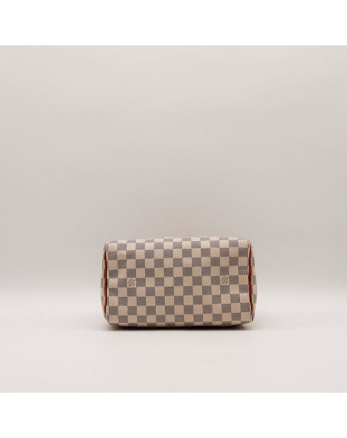 The Speedy 25 Louis Vuitton Beige/Grey- 25x19x15 cm -Ottime condizioni