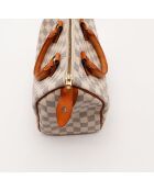 The Speedy 25 Louis Vuitton Beige/Grey- 25x19x15 cm -Ottime condizioni