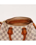 The Speedy 25 Louis Vuitton Beige/Grey- 25x19x15 cm -Ottime condizioni