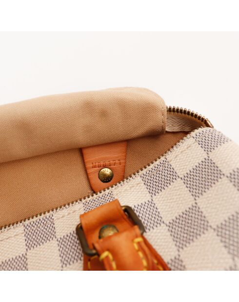 The Speedy 25 Louis Vuitton Beige/Grey- 25x19x15 cm -Ottime condizioni