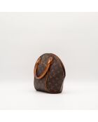 The Ellipse PM Louis Vuitton braun - 28x21x8cm - Guter Zustand