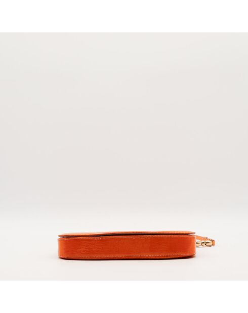 Le Malice Dior orange- 26x14 cm Très bon état
