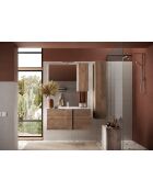 Ancona - Miroir Led avec Colonne Integrée 1 porte H30 cm chêne Mercure & façade porte Cachemire laqué brillant - 110x75x18 cm