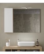 Ancona - Miroir Led avec Colonne Integrée 1 porte H30 cm chêne kadiz & Cachemire laqué brillant - 110x75x18 cm