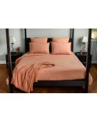 Sábana bajera ajustable Cap Ferret Terre De Sienne