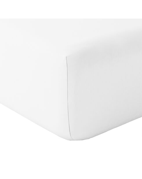 Drap Housse Cap Ferret Blanc