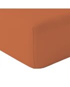 Drap Housse Cap Ferret Gingembre