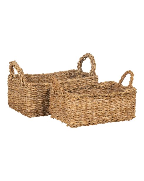 2 cestas de pastos marinos naturales de Morella