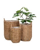 Set di 3 cestini in alghe marine Hue - 20/26/31x20/26/31x28/32/37 cm