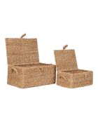 2 cestini in alghe naturali e metallo