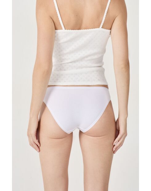 Lot de 3 culottes Jack multicolores