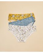 Set van 3 veelkleurige Zaria shorties