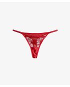 String Amaryllis rouge