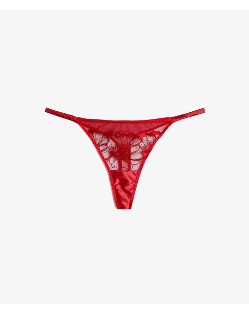 String Amaryllis rouge