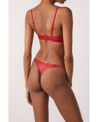 String Amaryllis rouge