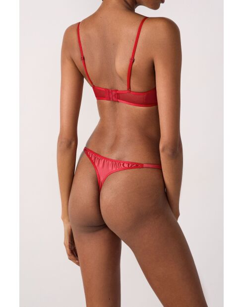 String Amaryllis rouge