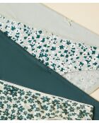 Set de 4 calzoncillos Stelly verde abeto