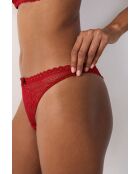 Cardinale di Tanga Panama