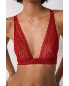 Panama kardinaalbeha met beugel nr. 7