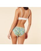 Packung mit 4 lidya-Unterhosen in Entengrün