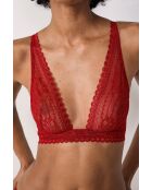 Panama kardinaalbeha met beugel nr. 7