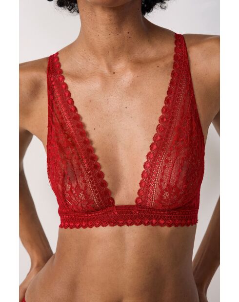 Panama kardinaalbeha met beugel nr. 7