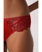 Shorty Amaryllis rot