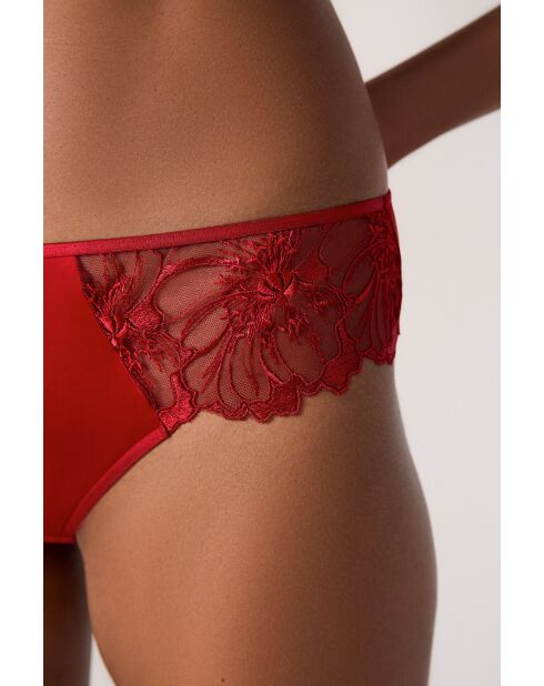 Shorty Amaryllis rood