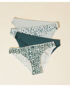 Set de 4 calzoncillos Stelly verde abeto