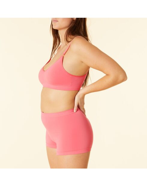 Shorty Amande petunia