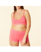 Shorty Amande petunia