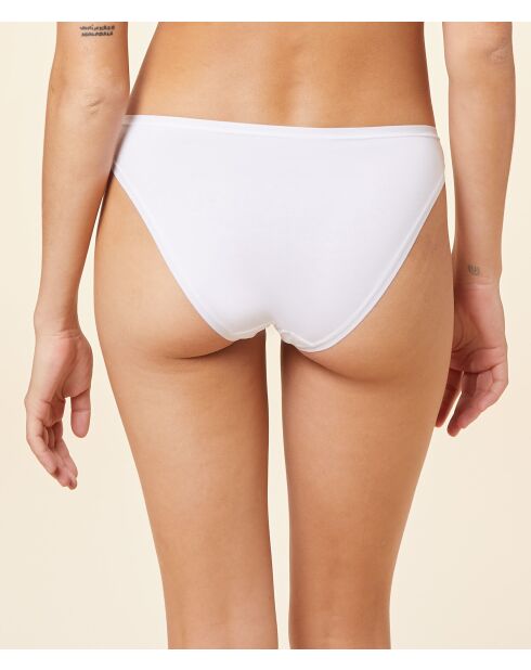 Pack de 3 braguitas Jack multicolores