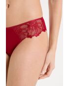 Shorty Amaryllis rot