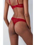 Cardinale di Tanga Panama