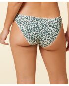 Set de 4 calzoncillos Stelly verde abeto