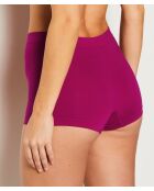 Shorty Amande orchidée