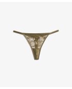 String Amaryllis kaki olive