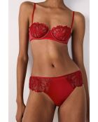 Shorty Amaryllis rot